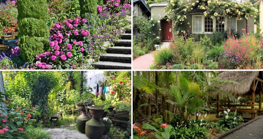 Landscaping Ideas for NZ Gardens