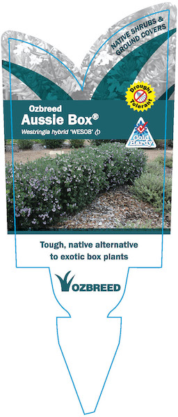 Aussie Box