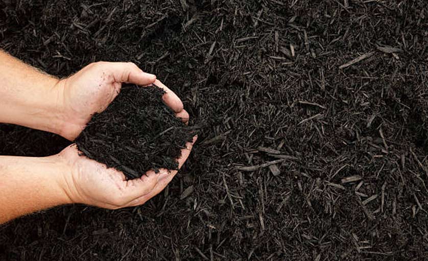 The Good, The Bad and The Ugly Of Mulch