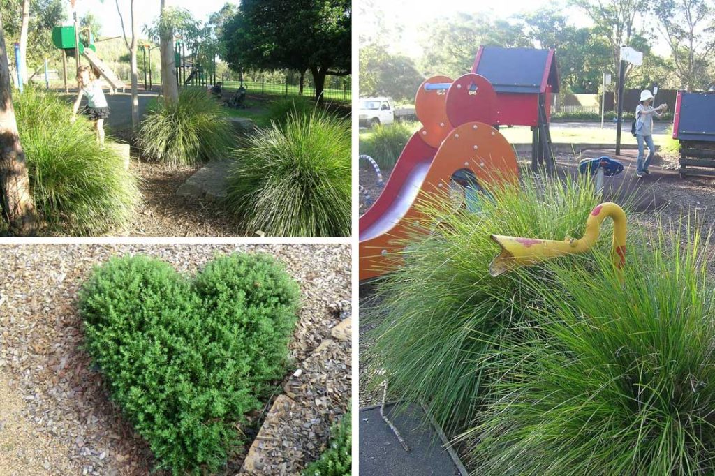 Safe Playgrounds Safe Plant Choices